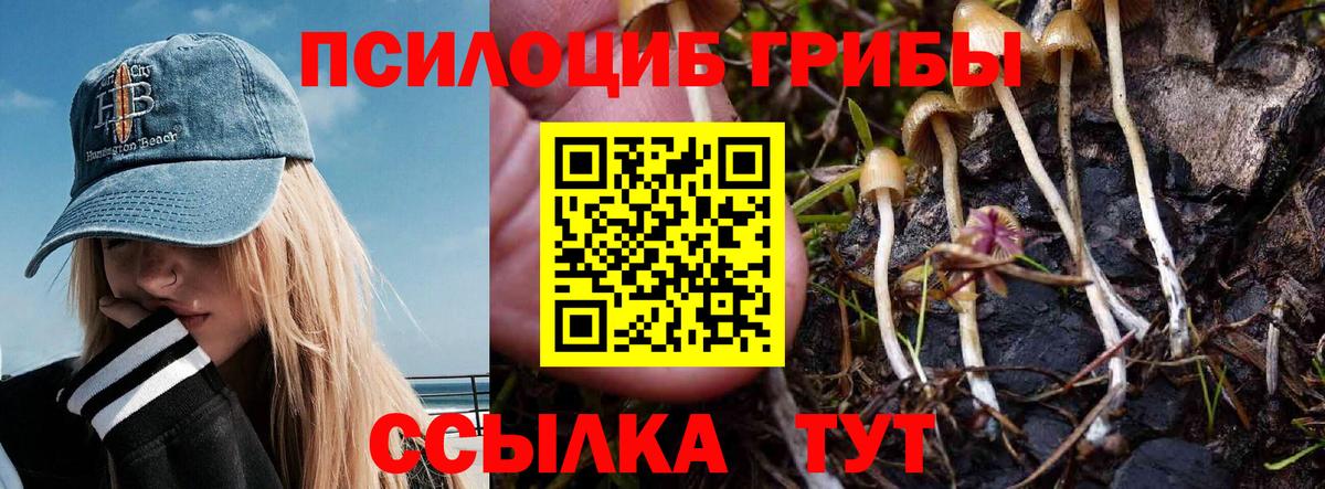 Псилоцибиновые грибы мицелий Каменск-Уральский